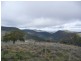 562 Wisemans Arm Road ” Upper Forest View”, Garthowen NSW 2345