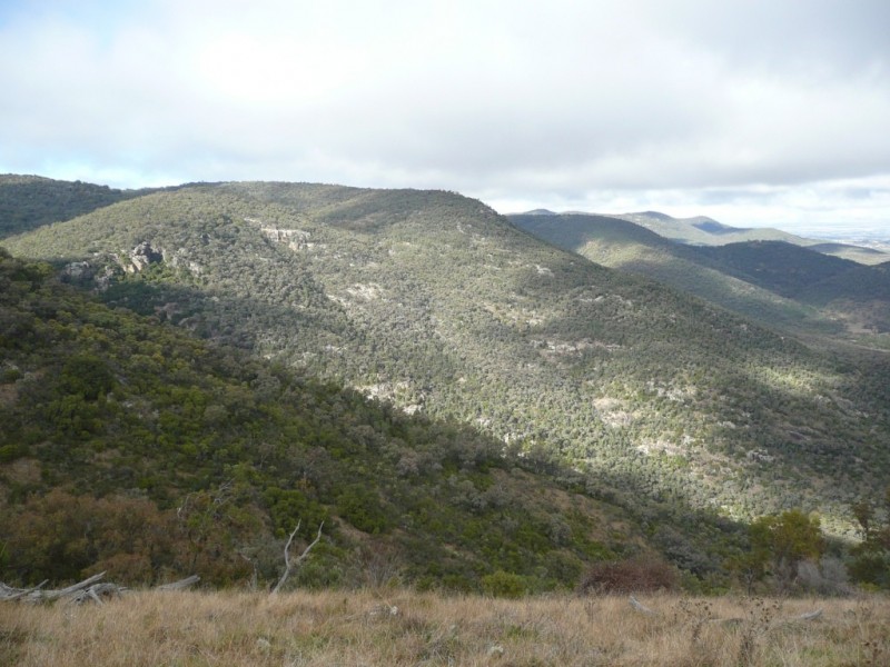 562 Wisemans Arm Road ” Upper Forest View”, Garthowen NSW 2345