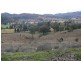 394 Dungowan Creek Road, Dungowan NSW 2340