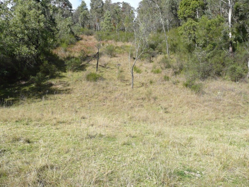 Via Dungowan Dam Road, Ogunbil NSW 2340