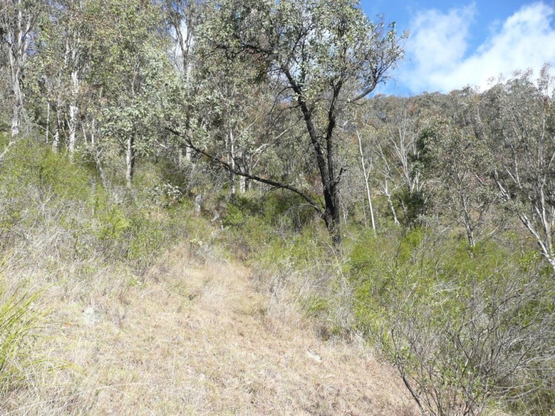 Via Dungowan Dam Road, Ogunbil NSW 2340