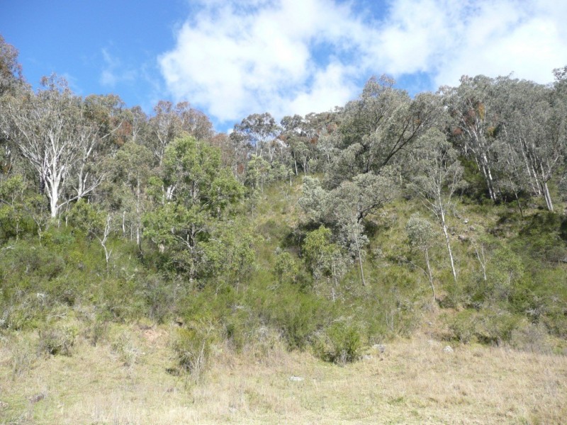 Via Dungowan Dam Road, Ogunbil NSW 2340