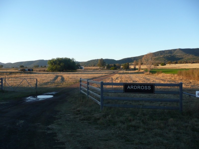 ARDROSS 668 Piallaway Road, Currabubula NSW 2342