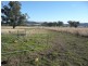 ARDROSS 668 Piallaway Road, Currabubula NSW 2342