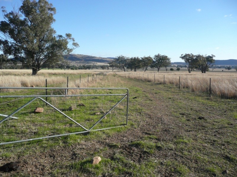 ARDROSS 668 Piallaway Road, Currabubula NSW 2342