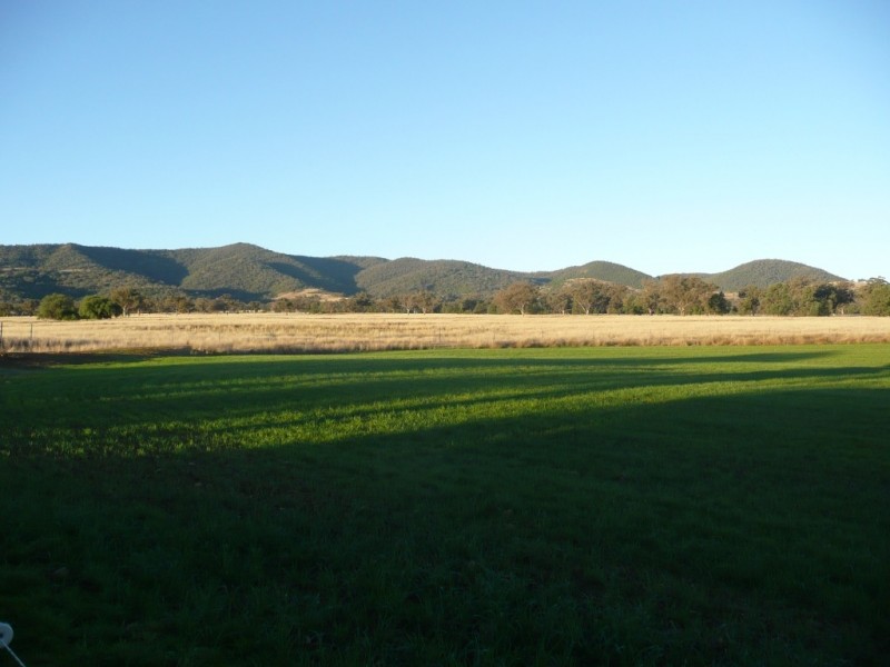 ARDROSS 668 Piallaway Road, Currabubula NSW 2342