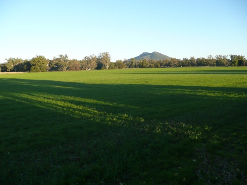 ARDROSS 668 Piallaway Road, Currabubula NSW 2342