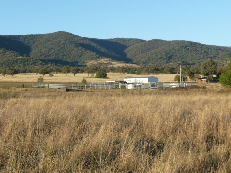 ARDROSS 668 Piallaway Road, Currabubula NSW 2342