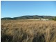 ARDROSS 668 Piallaway Road, Currabubula NSW 2342