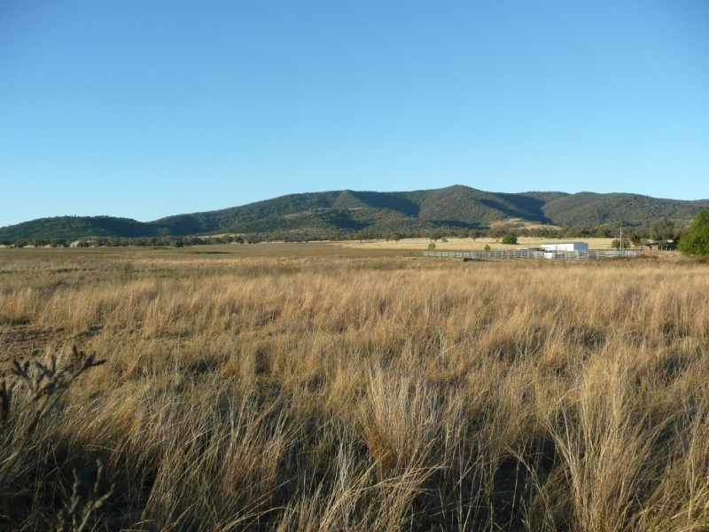 ARDROSS 668 Piallaway Road, Currabubula NSW 2342
