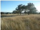 ARDROSS 668 Piallaway Road, Currabubula NSW 2342