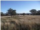 ARDROSS 668 Piallaway Road, Currabubula NSW 2342