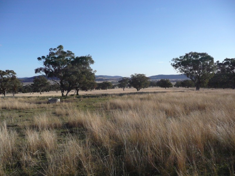 ARDROSS 668 Piallaway Road, Currabubula NSW 2342