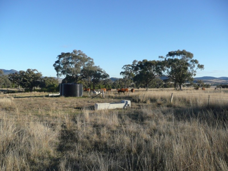 ARDROSS 668 Piallaway Road, Currabubula NSW 2342