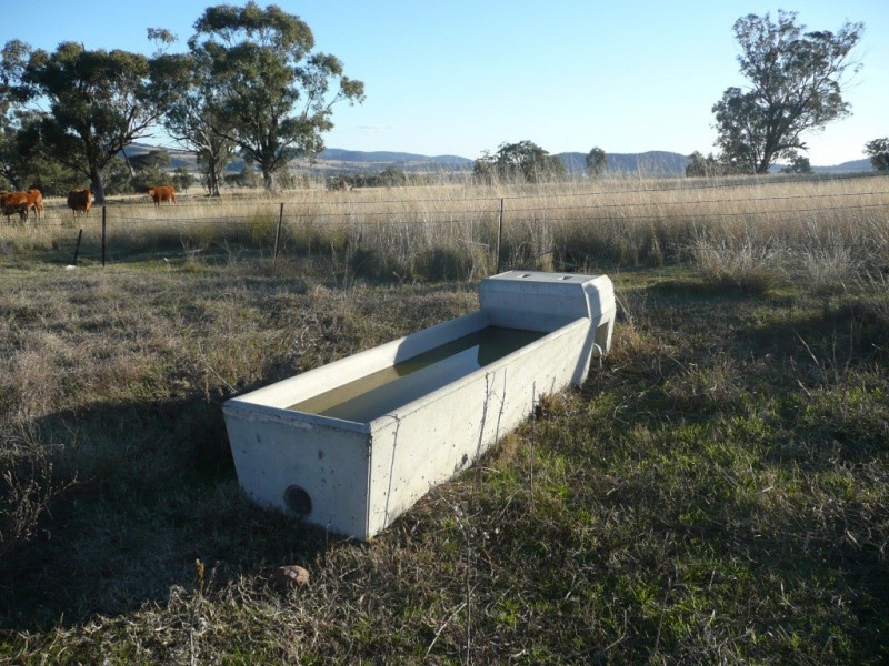 ARDROSS 668 Piallaway Road, Currabubula NSW 2342