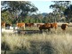 ARDROSS 668 Piallaway Road, Currabubula NSW 2342