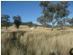 ARDROSS 668 Piallaway Road, Currabubula NSW 2342