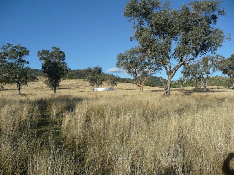 ARDROSS 668 Piallaway Road, Currabubula NSW 2342