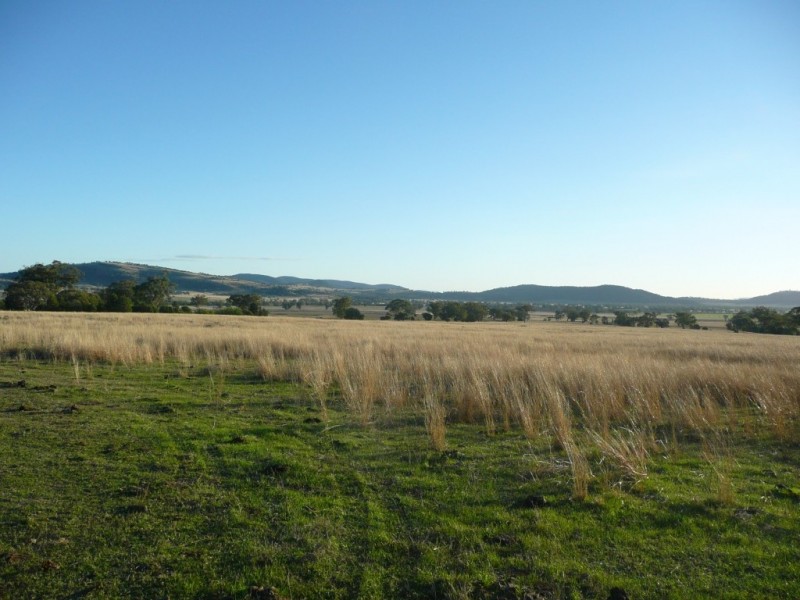 ARDROSS 668 Piallaway Road, Currabubula NSW 2342
