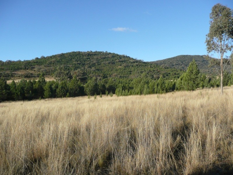 ARDROSS 668 Piallaway Road, Currabubula NSW 2342