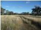 ARDROSS 668 Piallaway Road, Currabubula NSW 2342