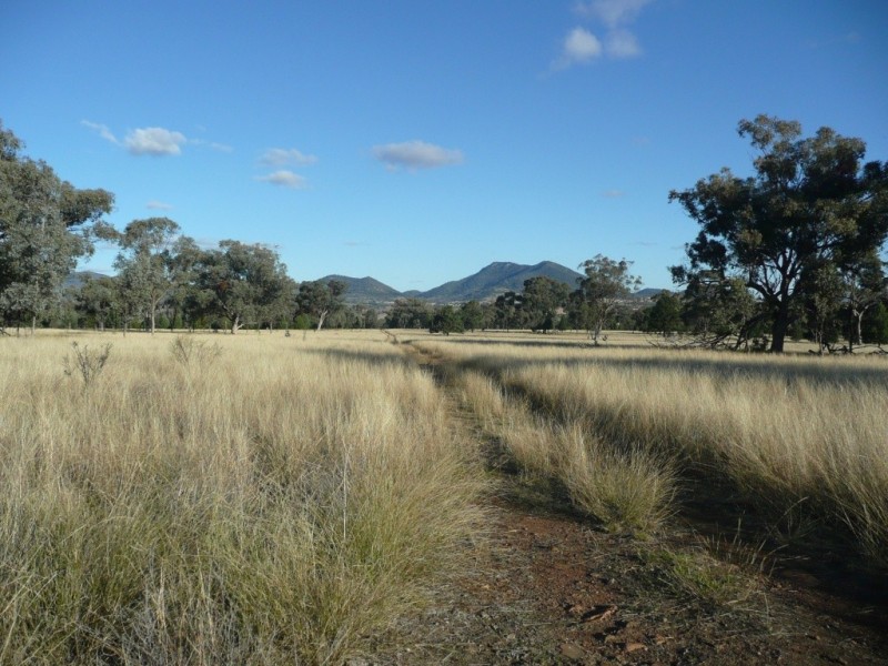 ARDROSS 668 Piallaway Road, Currabubula NSW 2342