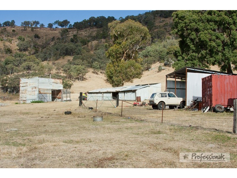 McClintock 979 Watson’s Creek Rd, Bendemeer NSW 2355