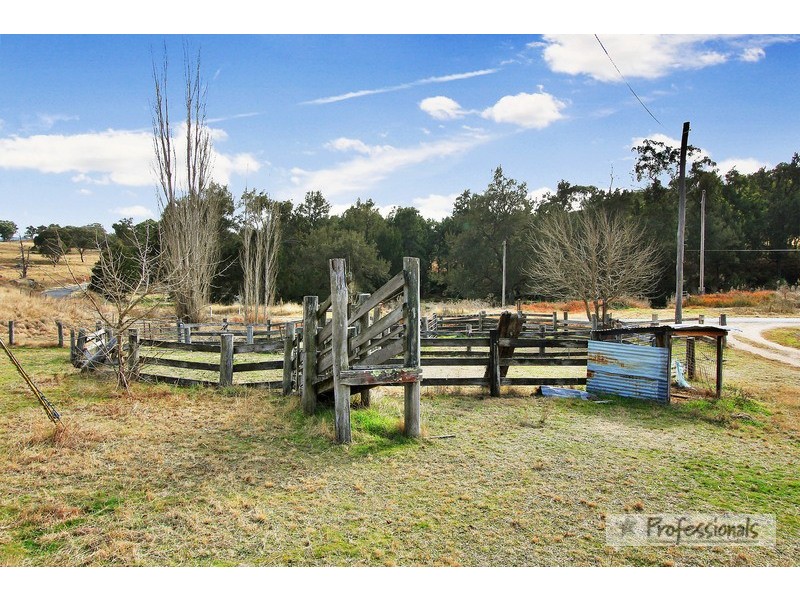 McClintock 979 Watson’s Creek Rd, Bendemeer NSW 2355