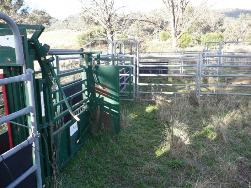 ‘Torokina’ 24 Whittons Road, Quirindi NSW 2343