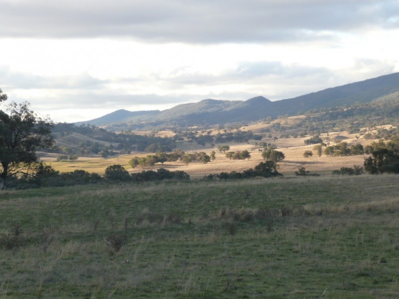 ‘Torokina’ 24 Whittons Road, Quirindi NSW 2343
