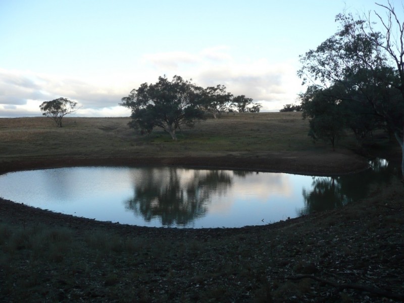 ‘Torokina’ 24 Whittons Road, Quirindi NSW 2343