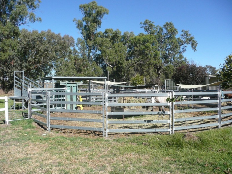 ‘Waverley’ 1268 Monteray Road, Loomberah NSW 2340