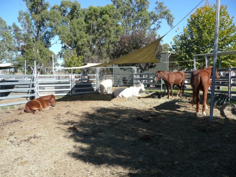 ‘Waverley’ 1268 Monteray Road, Loomberah NSW 2340