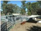 ‘Waverley’ 1268 Monteray Road, Loomberah NSW 2340
