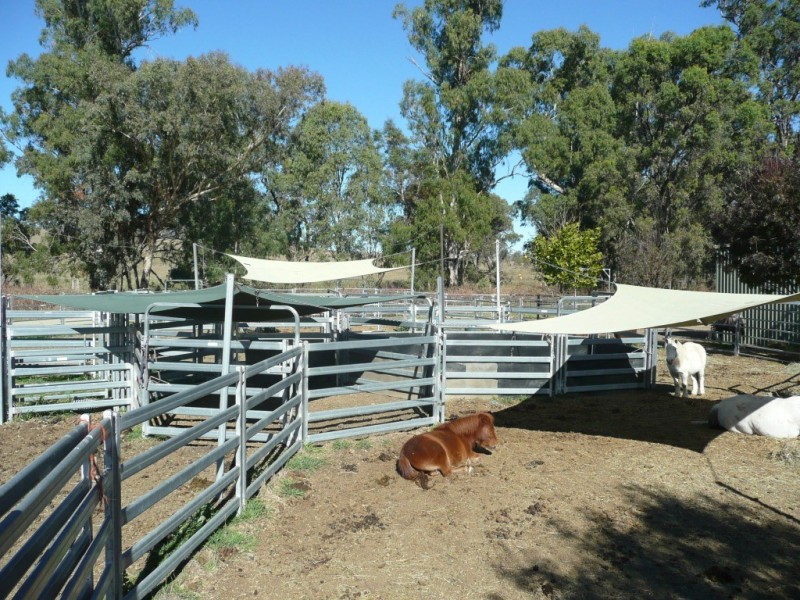 ‘Waverley’ 1268 Monteray Road, Loomberah NSW 2340