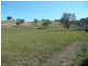 ‘Waverley’ 1268 Monteray Road, Loomberah NSW 2340