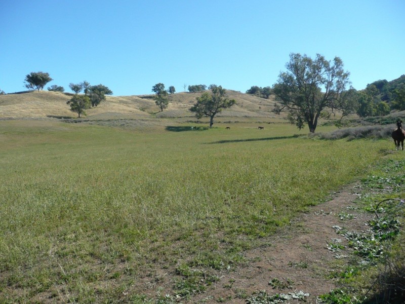 ‘Waverley’ 1268 Monteray Road, Loomberah NSW 2340