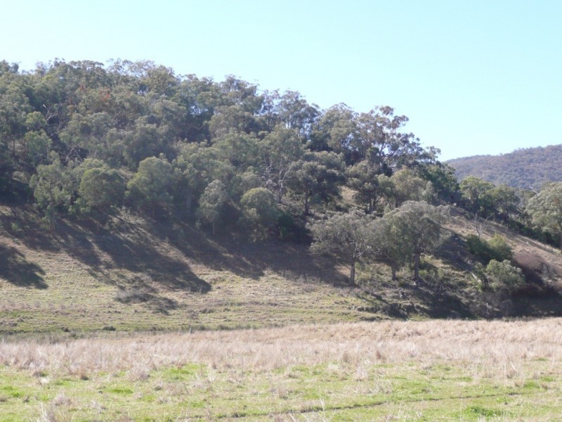 97 Woolomin Gap Road, Woolomin NSW 2340