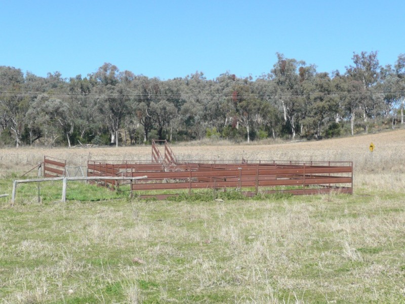 97 Woolomin Gap Road, Woolomin NSW 2340