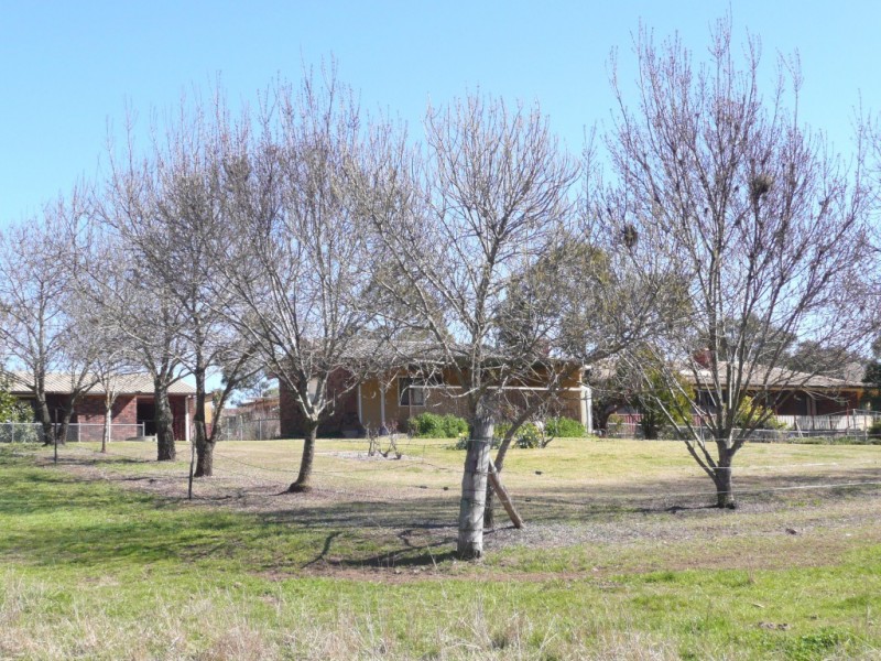 97 Woolomin Gap Road, Woolomin NSW 2340