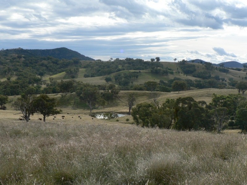 71 Whittons Road, Wallabadah NSW 2343