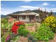 120 Dungowan Dam Road, Ogunbil NSW 2340