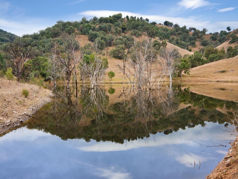 120 Dungowan Dam Road, Ogunbil NSW 2340