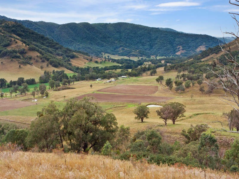 120 Dungowan Dam Road, Ogunbil NSW 2340