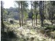 Hanging Rock NSW 2340