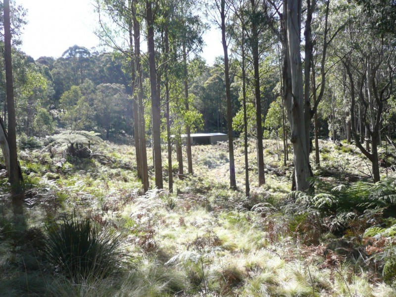 Hanging Rock NSW 2340