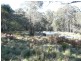 Hanging Rock NSW 2340