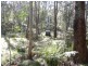Hanging Rock NSW 2340