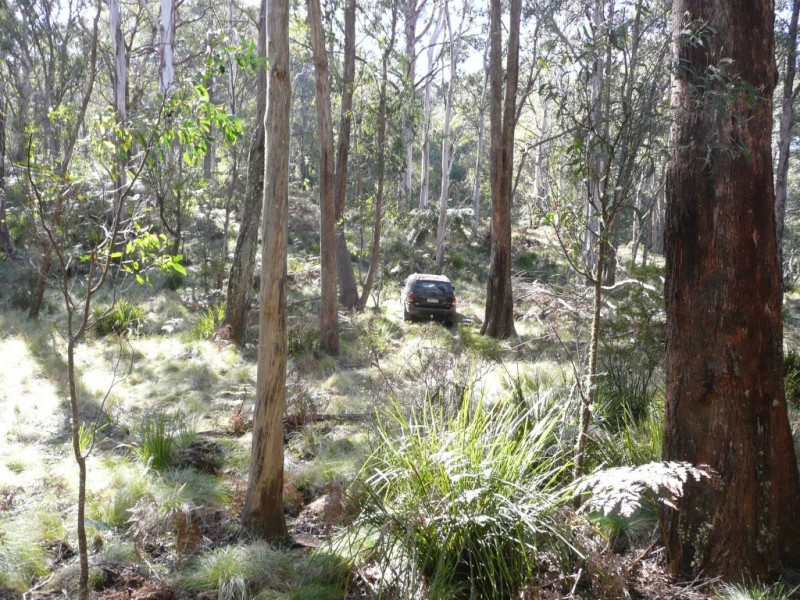 Hanging Rock NSW 2340