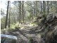 Hanging Rock NSW 2340